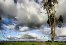 掘金vs雷霆直播哪里看？这场西部对决有哪些精彩看点？